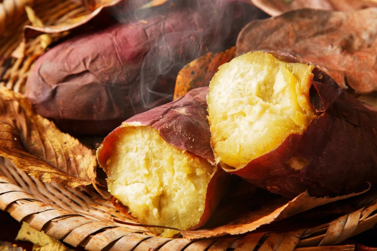 安納芋の熟成焼き芋